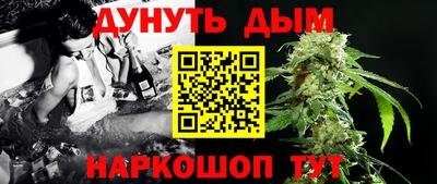 прущие крисы Гусев