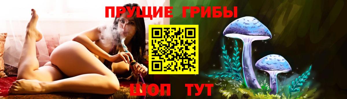 Киров  Галлюциногенные грибы Psilocybine cubensis  Вход с VPN 
